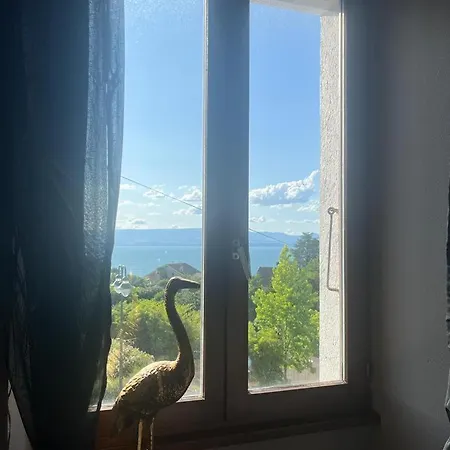 Lejlighed View Maxilly-sur-Léman